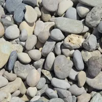 20260523_133350.jpg
